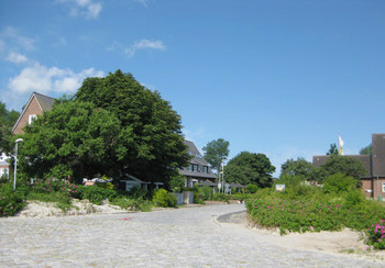 Am Kai © Frank Horn