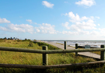 Dünensteg © Frank Horn