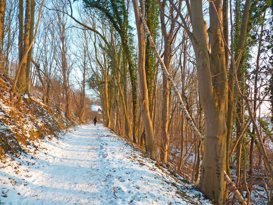 Ferienhaus in Warnkenhagen - De Fischer un sin Fru - Bild 11