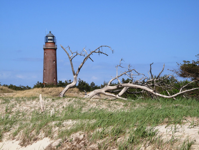 Ferienwohnung in Wieck a. Dar&szlig; - Haus Schumann - Bild 17