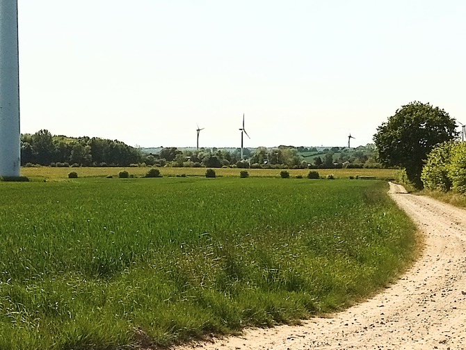 Ferienwohnung in Kabelhorst - Gei&szlig;ler - Bild 12