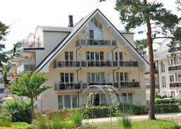 Seepferdchen