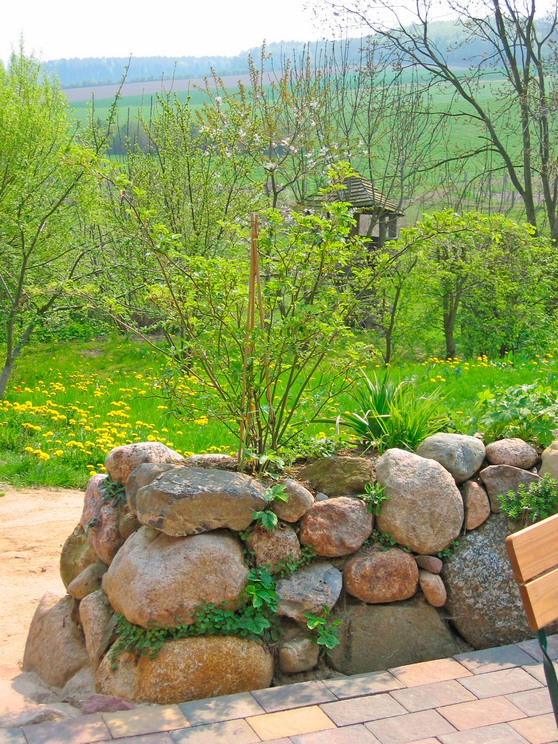 Ferienwohnung in Darry - R&ouml;sick - Bild 9