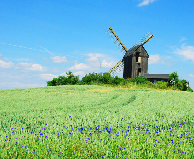 Ferienwohnung in Zinnowitz - Achtern Strand - Windm&uuml;hle bei Pudagla