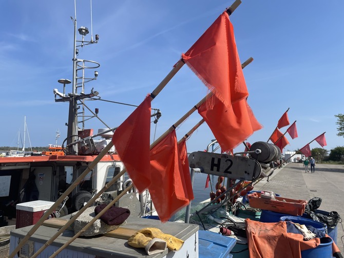 Ferienwohnung in Barh&ouml;ft - Lotsenwohnung - Lotsenhaus Barh&ouml;ft - Lotsenhaus - Hafen Barh&ouml;ft