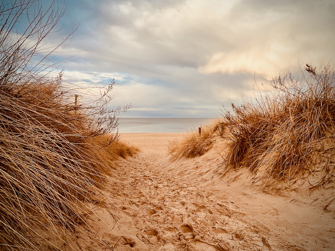Ferienwohnung in Trassenheide - Strandidyl im K&uuml;stenwald - Bild 16