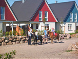 Ferienhaus in Fehmarn OT Todendorf - K&ouml;hlbrandt - Bild 1