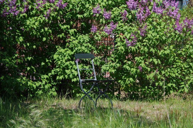 Ferienwohnung in Barh&ouml;ft - Matrosendeck - Lotsenhaus Barh&ouml;ft - Matrosendeckwohnung - Garten