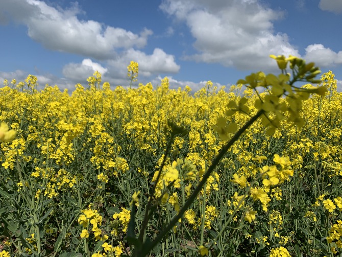 Ferienwohnung in Lassan - Haus Achterwasserm&uuml;cke - Bild 14