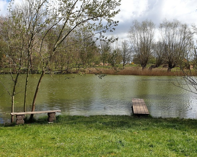Ferienhaus in Carinerland - Gr&uuml;nes Haus - Dorfteich