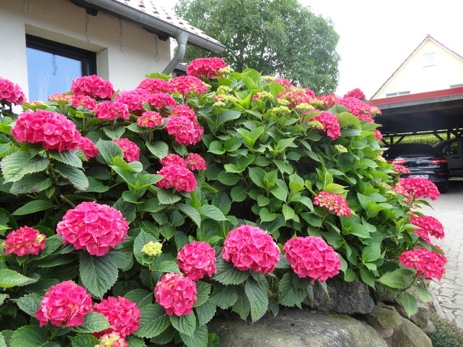 Ferienwohnung in K&auml;gsdorf - Hoogendoorn - Bild 18