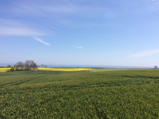 Ferienwohnung in Gr&ouml;dersby - FeWo D&uuml;nung - Bild 18