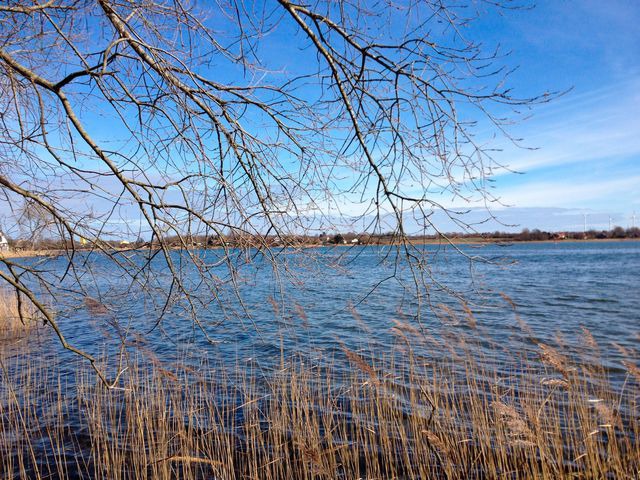 Ferienwohnung in Gr&ouml;dersby - FeWo Seegras - Bild 17