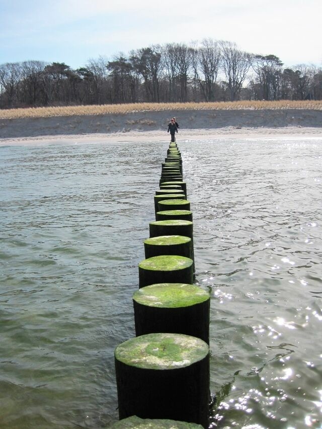 Ferienwohnung in Graal-M&uuml;ritz - Wellenkieker - Bild 13