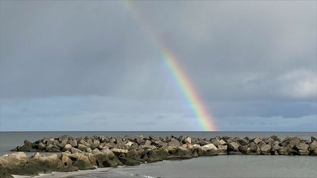 Ferienwohnung in Sch&ouml;nberg - Ferienwohnung Gelb - Bild 15