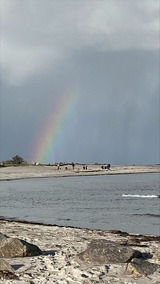 Ferienwohnung in Sch&ouml;nberg - Ferienwohnung Gelb - Bild 16