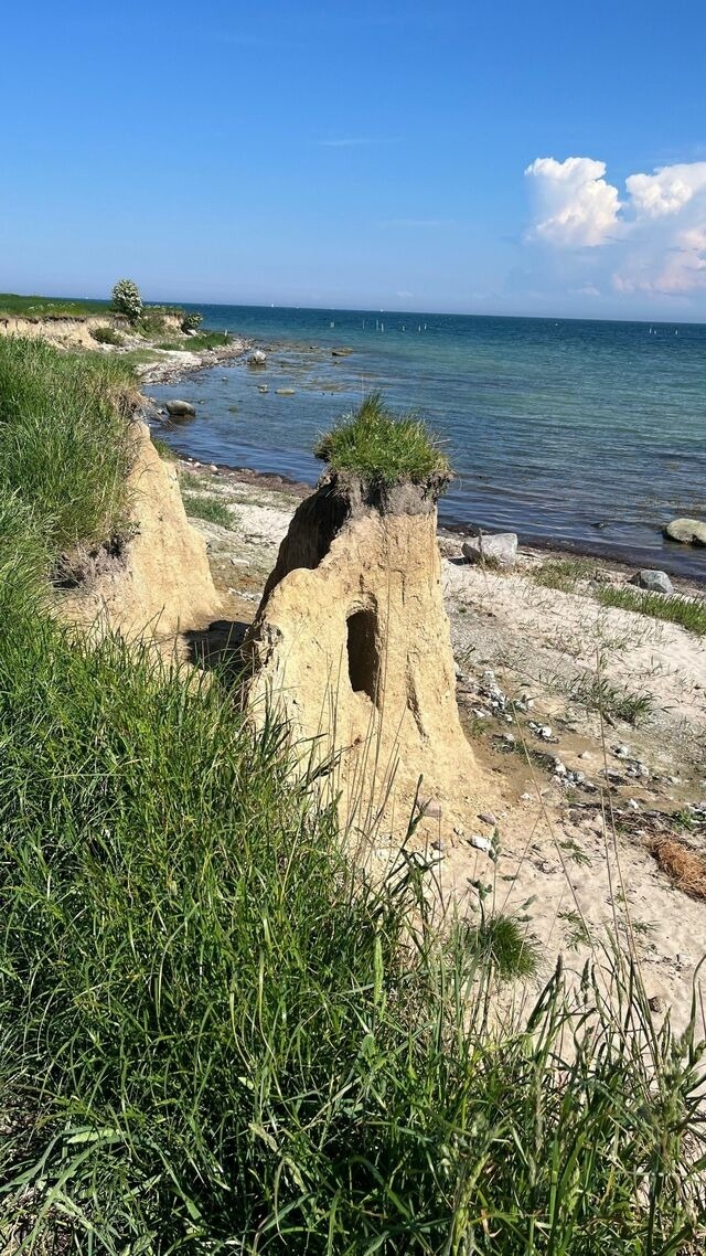 Ferienwohnung in Gro&szlig;enbrode - Ferienwohnung Meeresblick - Bild 19