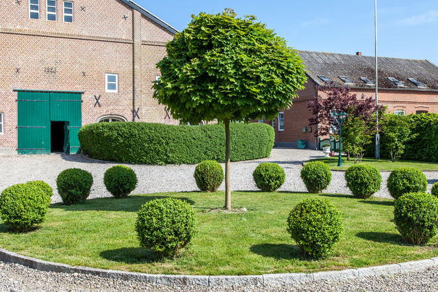 Ferienwohnung in Fehmarn OT Westermarkelsdorf - Sturmm&ouml;we - Bild 12