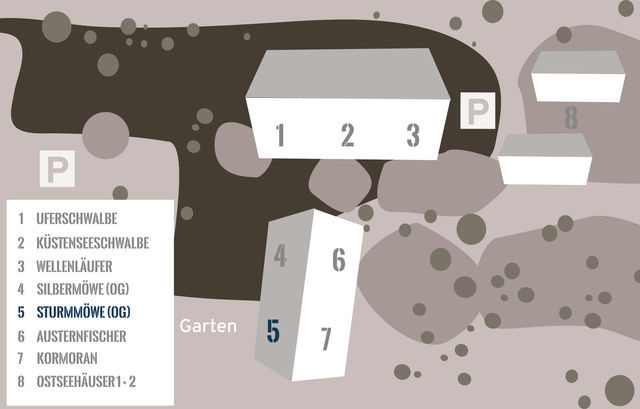 Ferienwohnung in Fehmarn OT Westermarkelsdorf - Sturmm&ouml;we - Bild 13