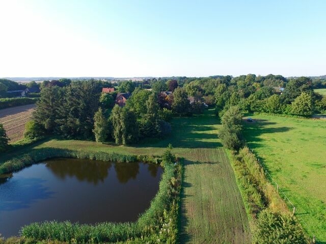 Ferienhaus in Rabenkirchen-Faul&uuml;ck - Ferienhaus Schlei - Bild 3