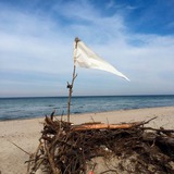 Ferienwohnung in Hagen - Hof Uhleck am K&ouml;nigsstuhl 1 - Bild 11