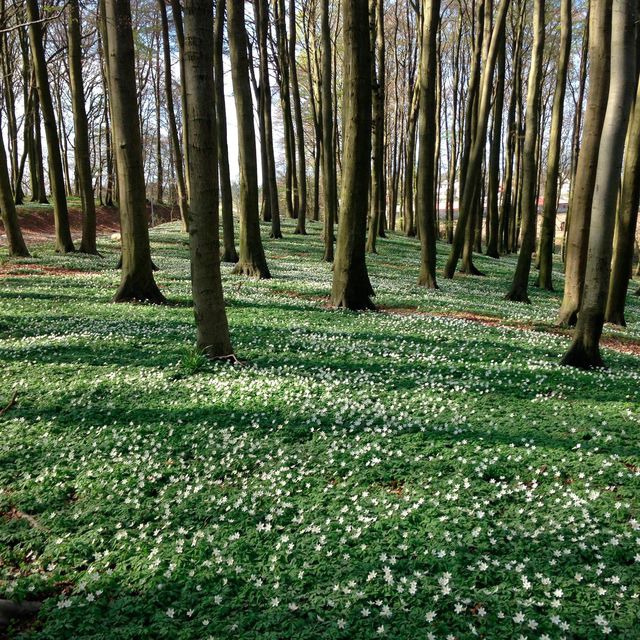 Ferienwohnung in Hagen - Hof Uhleck am K&ouml;nigsstuhl 2 - Bild 7