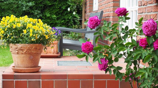 Ferienwohnung in Osterby - sch&ouml;ne ferien - Bild 13