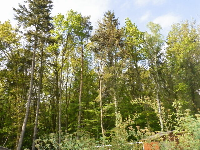 Bungalow in Warnem&uuml;nde - Warnem&uuml;nde - Linkis (Weststrand-B) - Bild 14