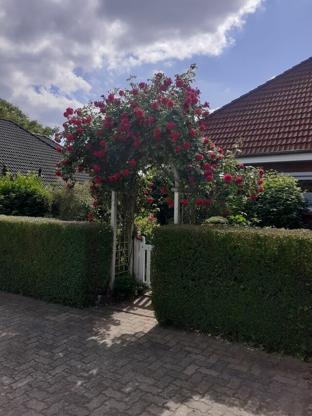 Ferienwohnung in Gro&szlig; Wittensee - Martens - Bild 3