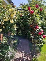 Ferienwohnung in Gro&szlig; Wittensee - Martens - Bild 9