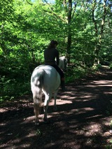 Ferienwohnung in Gro&szlig; Wittensee - Hoheluft am Wittensee Apt. 3 - Bild 19
