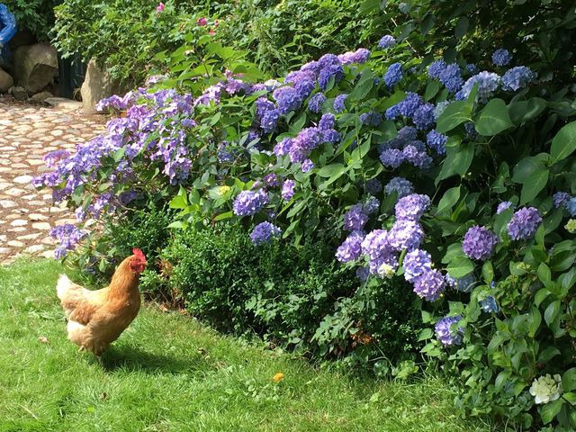 Ferienwohnung in Gro&szlig; Wittensee - Hoheluft am Wittensee Apt. 2 - Bild 21