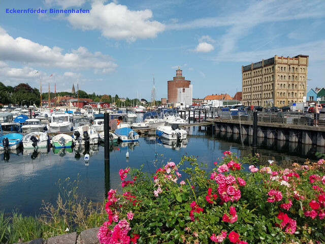 Ferienwohnung in Holtsee - Ohm - Bild 23