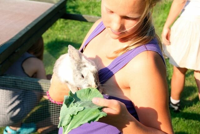 Ferienwohnung in Fehmarn OT Wenkendorf - "Ferienhof Hinz" - Klatschmohn EG - Bild 22