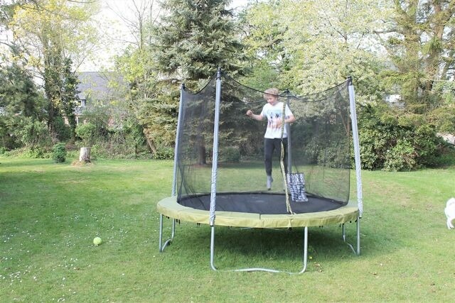 Ferienwohnung in Grömitz - "Pappelhof - Whg. 2" - Bild 24