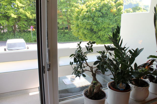 Ferienwohnung in Gr&ouml;mitz - Whg. Beyer - Driftberg 53 - preisg&uuml;nstige Wohnung in ruhiger Ortslage - Bild 5