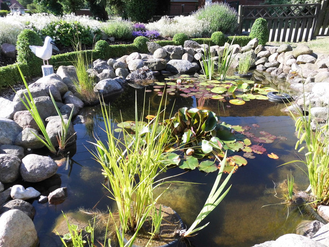 Ferienwohnung in M&ouml;nchneversdorf - Siegerhaus - Bild 10