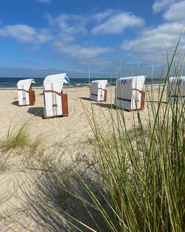 Ferienhaus in &Uuml;ckeritz - Seestern - Bild 24