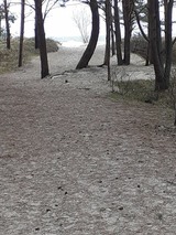 Ferienwohnung in Karlshagen - ferienwohnung k&ouml;ster - Bild 16