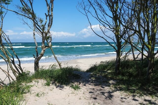 Ferienwohnung in Ostseeheilbad Zingst - Haus Claudia - Bild 14