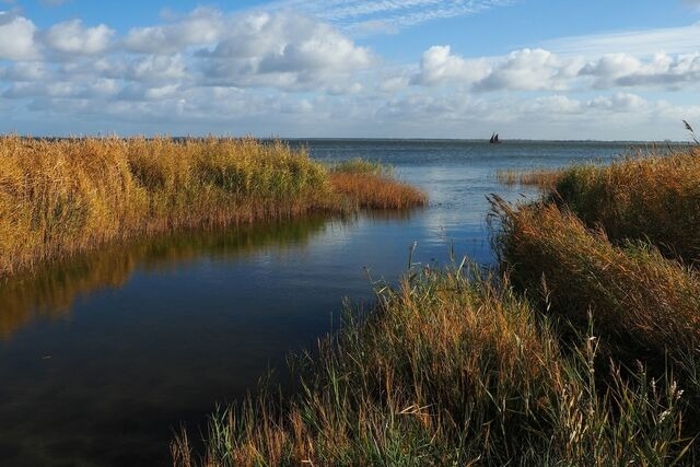 Ferienwohnung in Ostseeheilbad Zingst - Haus Claudia - Bild 17