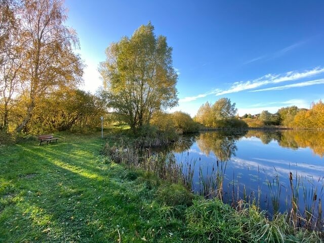 Ferienhaus in Marlow - Finnh&auml;user am Vogelpark - Haus Lisa - Bild 18