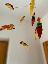 Ferienhaus in Marlow - Ferienh&auml;user am Vogelpark - Boddenhaus 60 - Bild 23