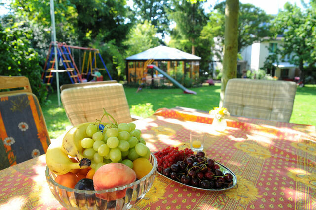 Ferienwohnung in Kl&uuml;tz - Palm Ferienhaus - Gr&uuml;n - Bild 9