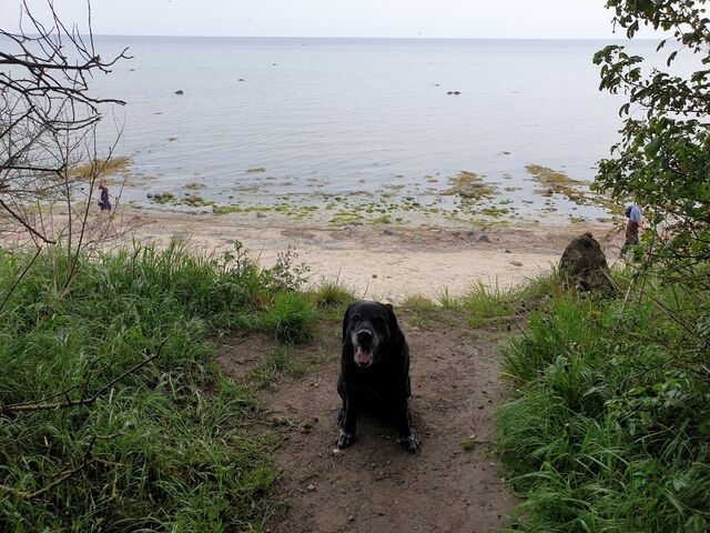 Ferienwohnung in Gollwitz - Ostsee-Schw&auml;nchen II - Bild 11