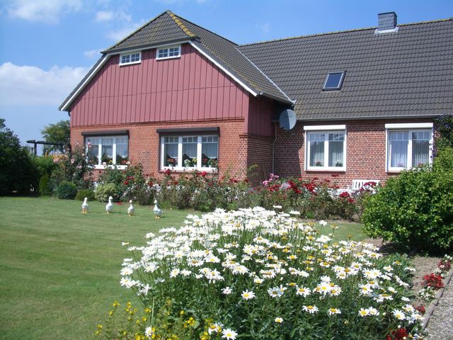Ferienwohnung in S&uuml;ssau - Wiese - Bild 12