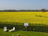 Ferienwohnung in S&uuml;ssau - Wiese - Bild 19