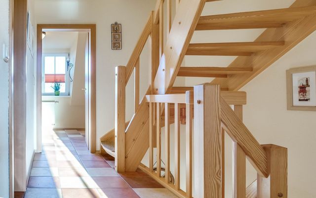 Ferienhaus in Ostseeheilbad Zingst - Deichweg 8 - Bild 11