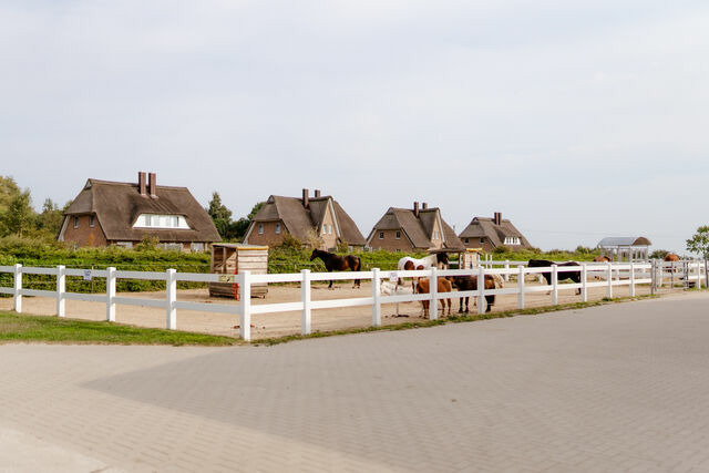 Ferienhaus in Fehmarn OT Staberdorf - Alte Schule 6 - Bild 17