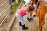 Ferienhaus in Fehmarn OT Staberdorf - Alte Schule 6 - Bild 23